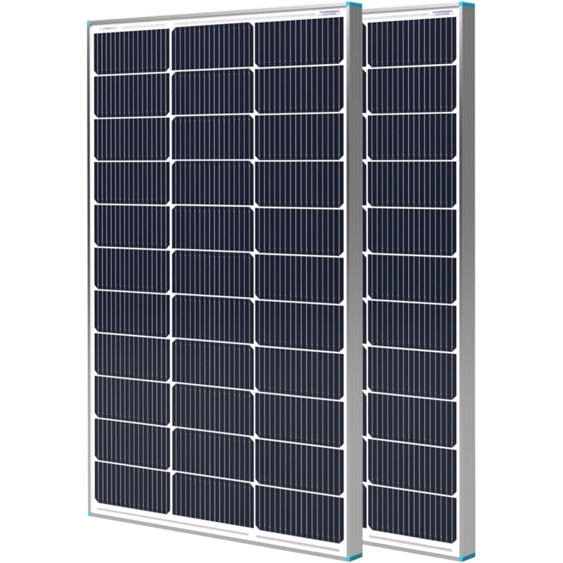 Комплект монокристалічних сонячних панелей Renogy 200W (2 шт. по 100W, 12V)