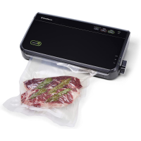 Вакууматор FoodSaver FM2100-000 (США) + перетворювач напруги 350W